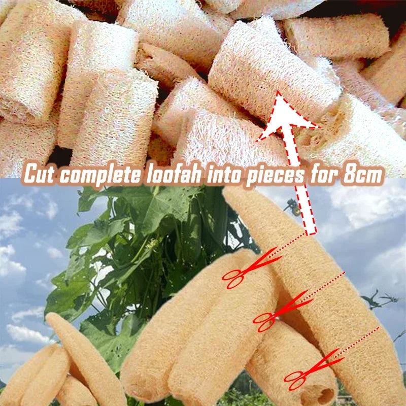 3 Pieces Multi Natural Loofah Washing Brushes Luffa Loofa Bath Body Shower Sponge Kitchen Cleaing Scrubber Bathroom Accessories
