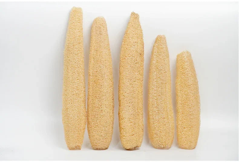 Whole Natural Organic Loofah Sponges Exfoliating Shower Bath Loofah Luffa Body Sponge for SPA Beauty Skin Care about 30-40cm