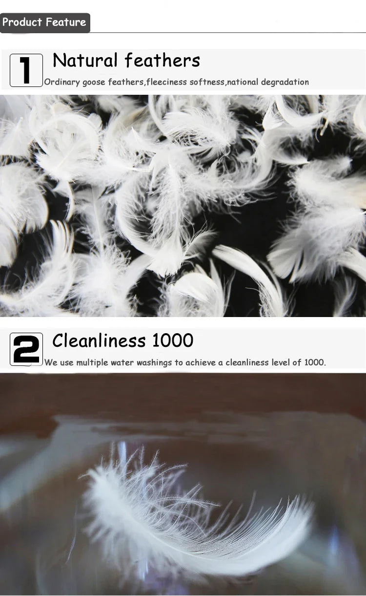 Entry Luxury Goose Down Feathers Cushion Insert Core Throw Pillow Core 5% Down Pillow Filling Downproofness